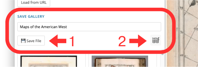 Screenshot of the Save Gallery part of the input panel