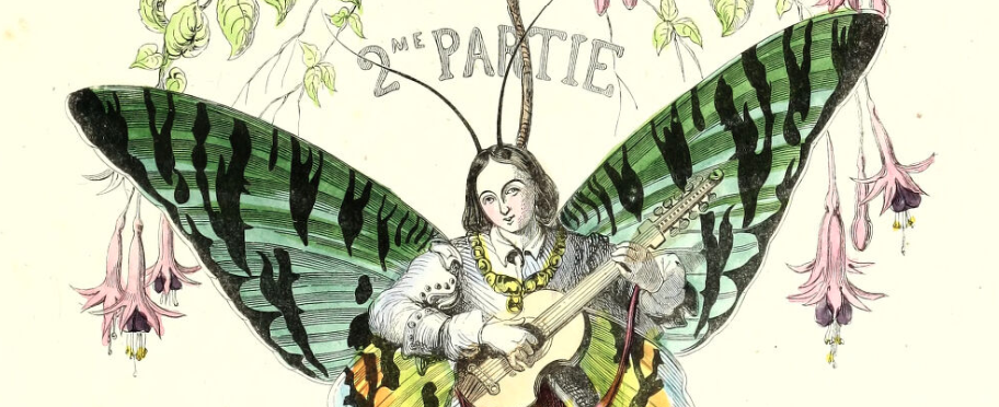 Image of a person with butterfly wings playing a stringed instrument